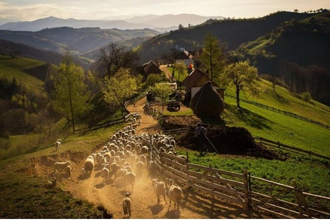 5 Days Private Tour in Transylvania and Dracula Castle - Entrance Fees and Costs