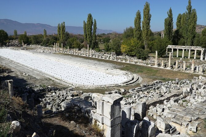 5 Days Private Tour of Western Turkey (Troy-Pergamon-Ephesus-Didyma-Pamukkale) - Traveler Information