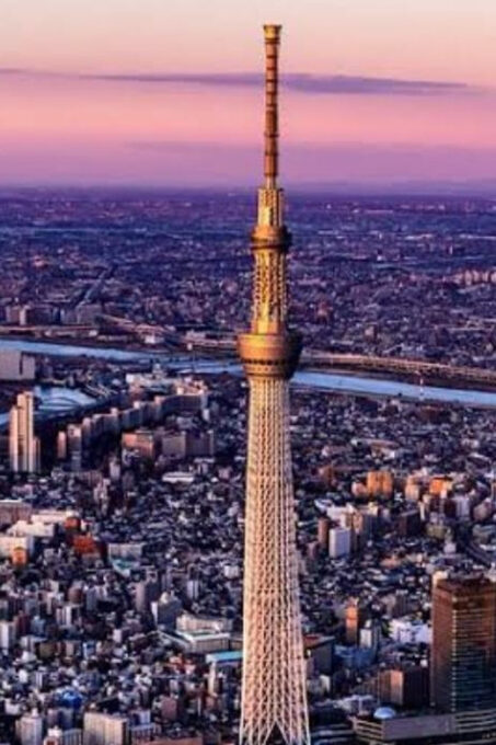 5-Days Private Tour Tokyo, Mt Fuji, Nikko, Hakone and Nagano - Suitability and Restrictions
