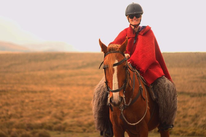 5 Days Quito to Cotopaxi, Quilotoa, Baños, and Jungle Adventure - Accommodations and Meals