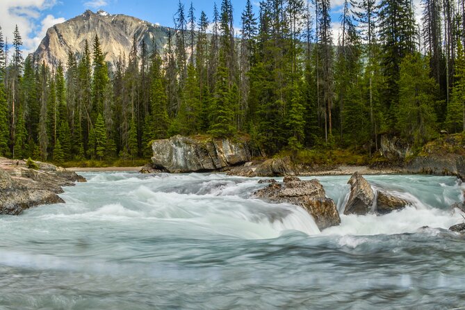 5 Days Rockies Camping & Wildlife Photography - Itinerary and Activities