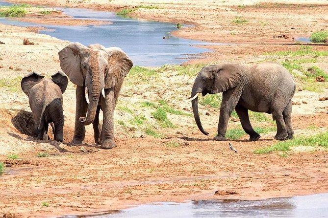 5 Days Ruaha National Park Safari - Key Points