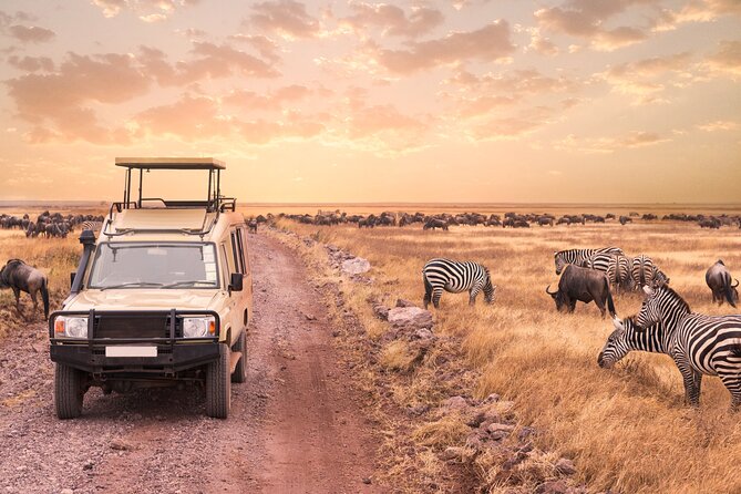 5 Days Safari, Hiking & Culture (Serengeti & Kilimanjaro) - Opportunities to Spot Wildlife