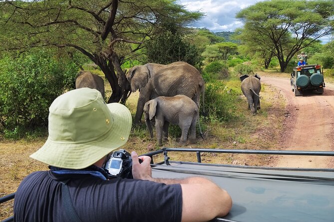 5 Days Safari, Hiking & Culture (Serengeti & Kilimanjaro) - Exploring Serengeti National Park