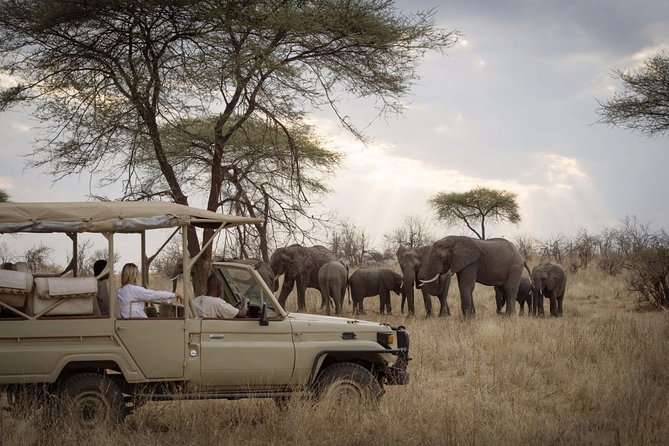 5 Days Safari In Serengeti And Ngorongoro - Accommodation and Meals