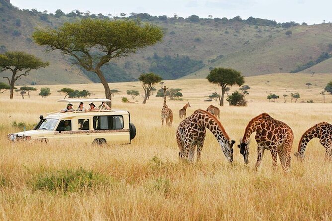 5 Days Safari in Tanzania | Camping and Lodge Safaris - Transportation Details
