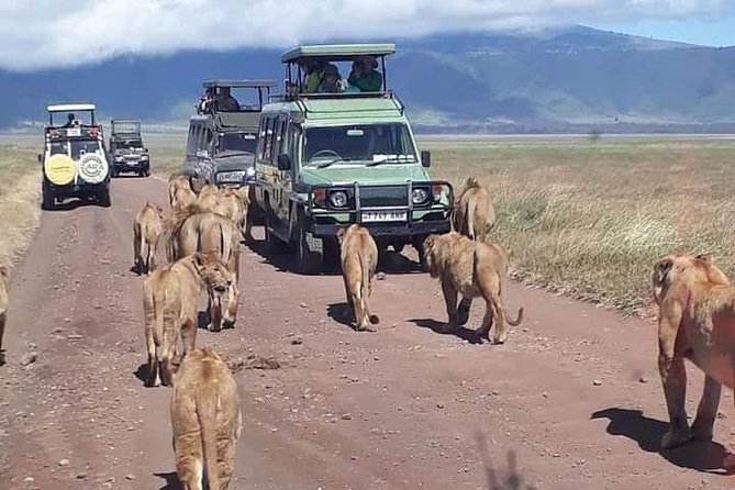 5 Days Safari Itinerary, Delight With Camping Game Drives in 3 National Parks - Pricing Details