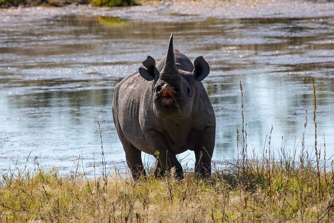 5 Days Safari Northern Circuit Of Tanzania - Safari Experiences