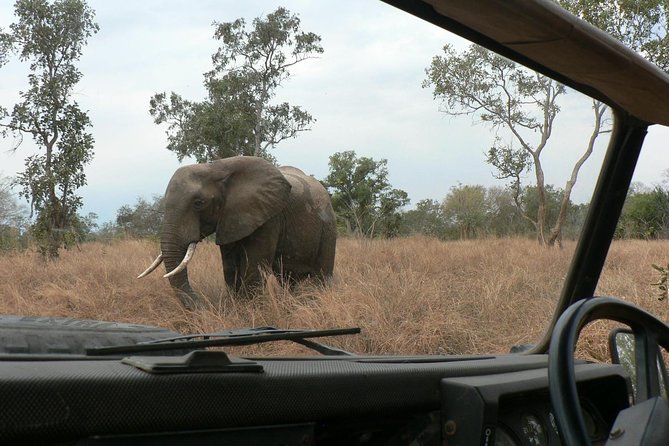 5 Days Safari to Selous & Mikumi - Inclusions