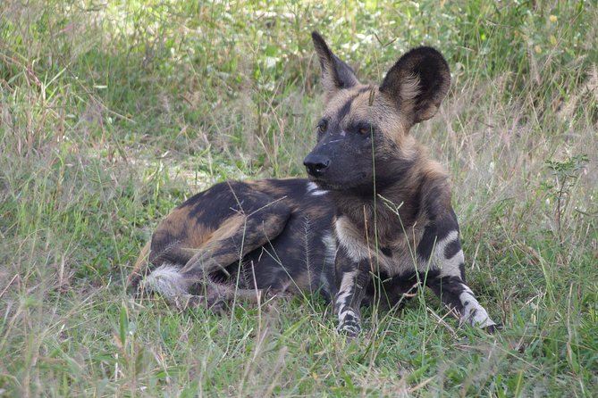 5 Days Safari to Selous & Mikumi - Participation Requirements