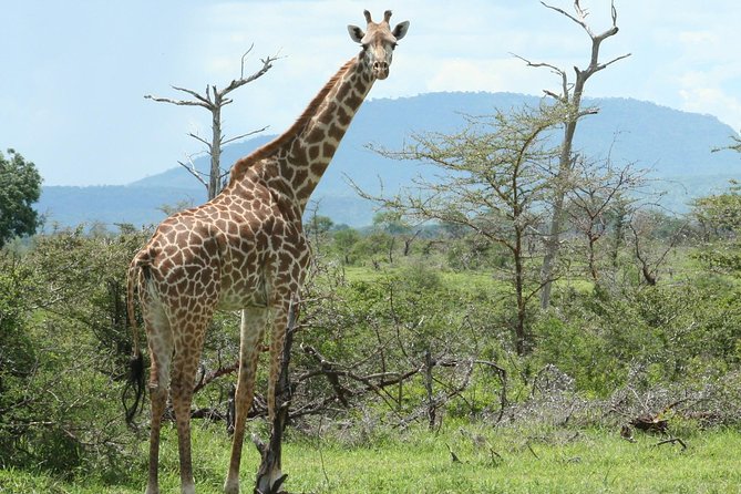 5 Days Safari to Selous & Mikumi - Booking Information
