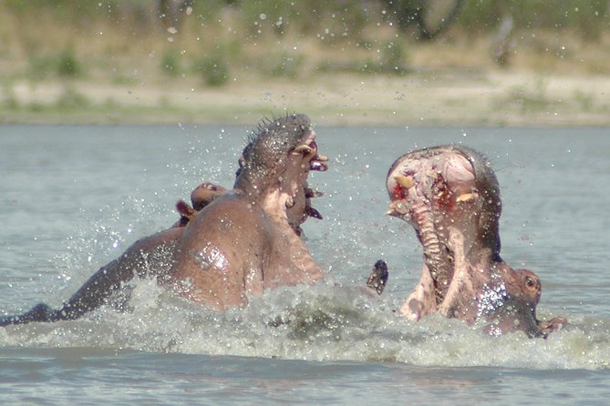 5 Days Safari to Selous & Mikumi - Itinerary