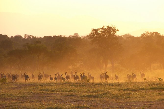 5 Days Safari to Selous & Mikumi - Packing Recommendations