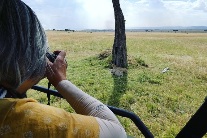 5 Days Safari to Serengeti, Ngorongoro, Tarangire From Arusha - Traversing the Tarangire National Park