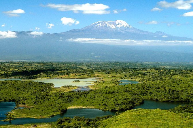 5 Days Safari to Tarangire, Ngorongoro, Serengeti and Lake Manyara - Included Experiences