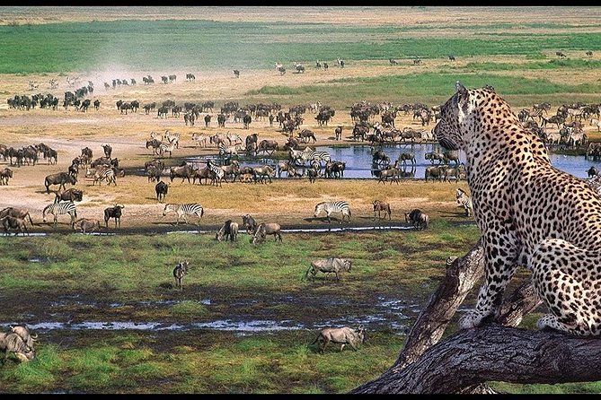 5 Days Serengeti Camping Safari - Logistics and Itinerary