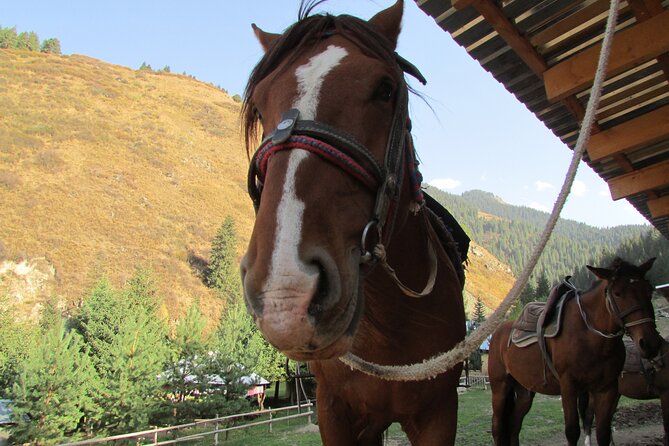 5 Days Sightseeing and Skiing Trip in Kyrgyzstan - Skiing Adventure