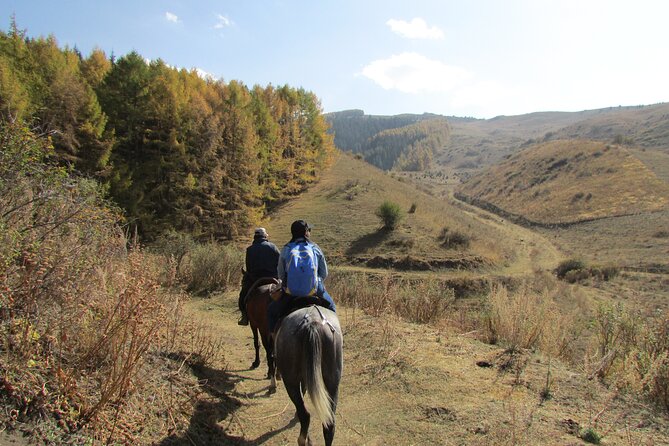 5 Days Sightseeing and Skiing Trip in Kyrgyzstan - Inclusions and Logistics