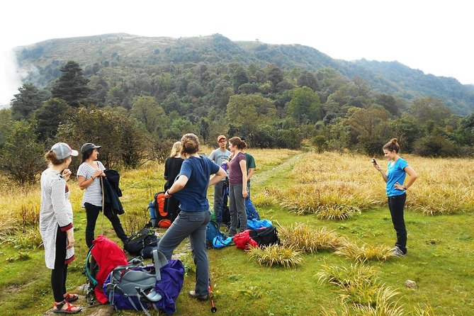 5-Days Singalila Ridge Trek in Darjeeling - Daily Itinerary and Activities