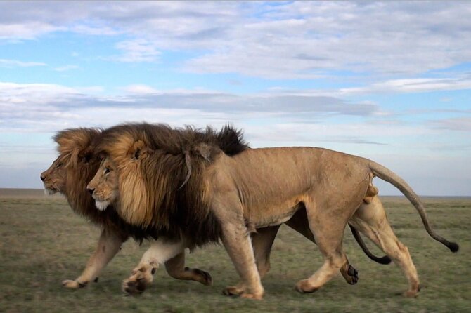 5 Days Tanzania Big 5 Safaris - Customer Reviews