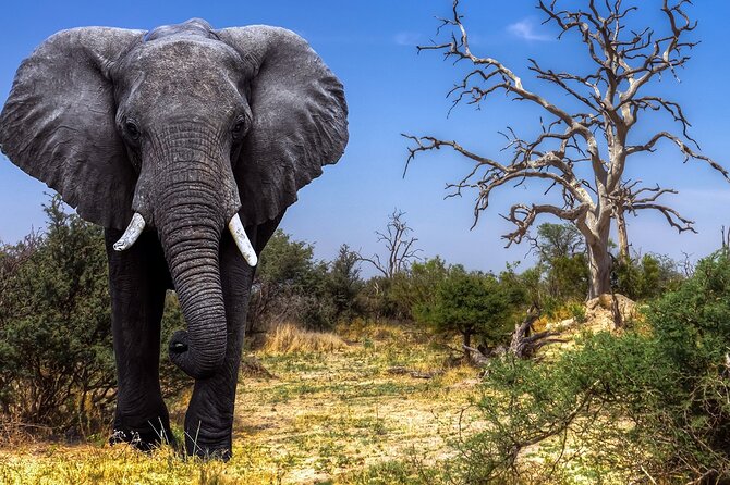 5 Days Tanzania Big 5 Safaris - Contact Information