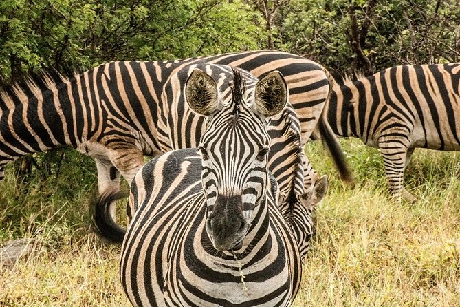 5 Days Tanzania Budget Camping Safari - Meeting and Pickup