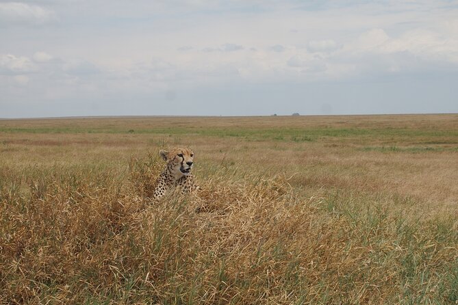 5 Days Tanzania Camping Safari - Additional Considerations and Arrangements