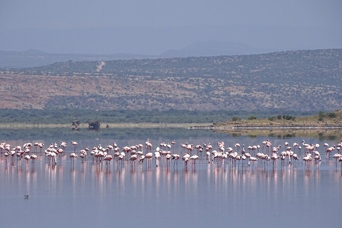 5 Days Tanzania Family Safari - Packing and Preparation