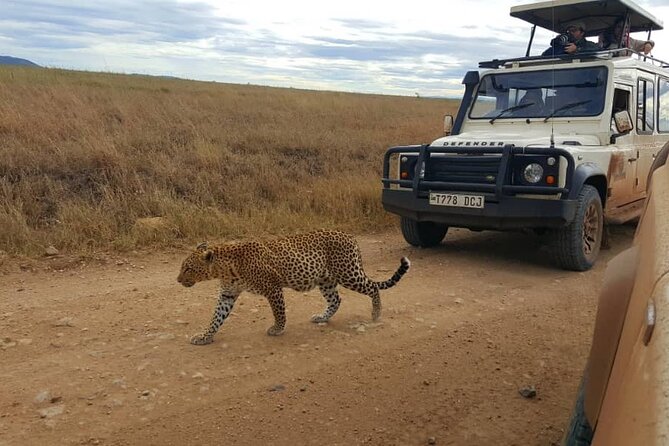 5 Days Tanzania Group Joining Safari, Tarangire/Serengeti/Ngorongoro Crater - Key Points