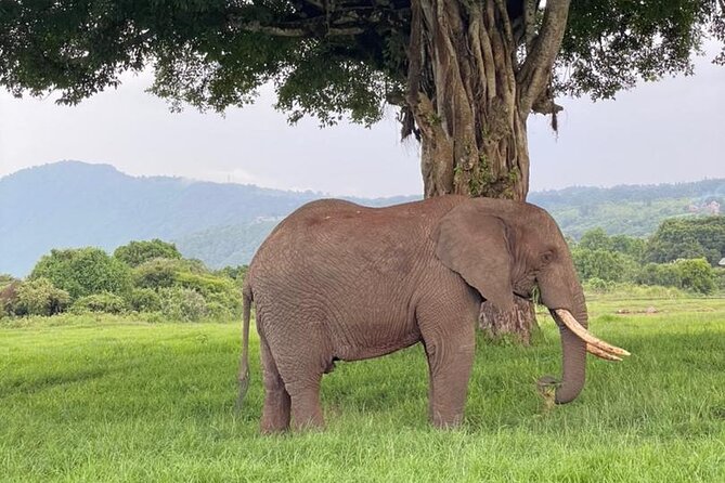 5 Days Tanzania Joining Safari With Pick up Included Shared Tour - Booking Information
