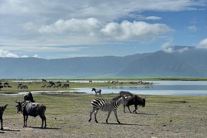 5 Days Tanzania Joining Safari With Pick up Included Shared Tour - Safety and Health Considerations