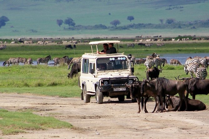 5 Days Tanzania Private Safari Tour - Key Points