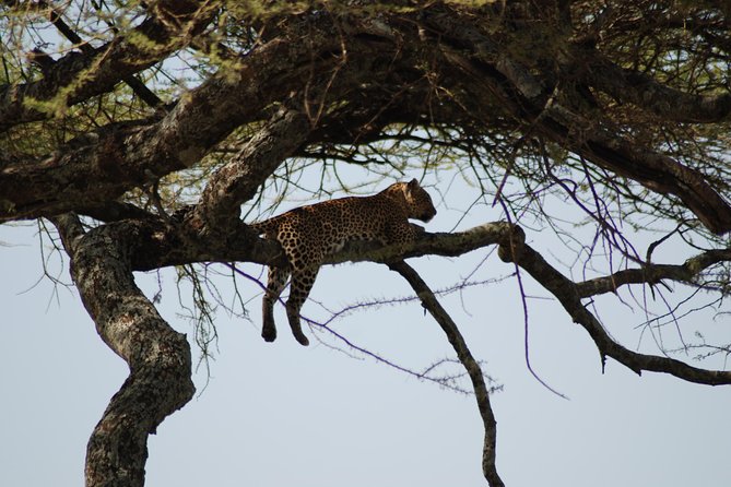 5 Days Tanzania Safari From Mwanza to Arusha - Included Facilities