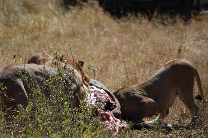 5 Days Tanzania Safari From Mwanza to Arusha - Included Fees