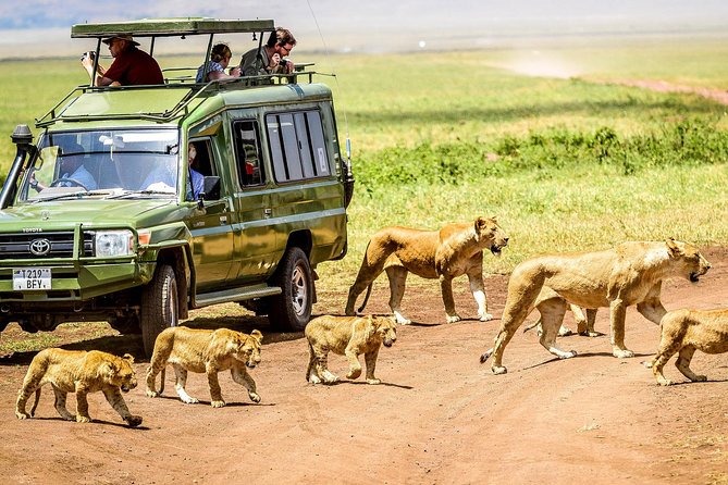 5 Days Tanzania Safari - Tarangire, Serengeti, Ngorongoro, and Lake Manyara - Witnessing the Serengeti Wonders