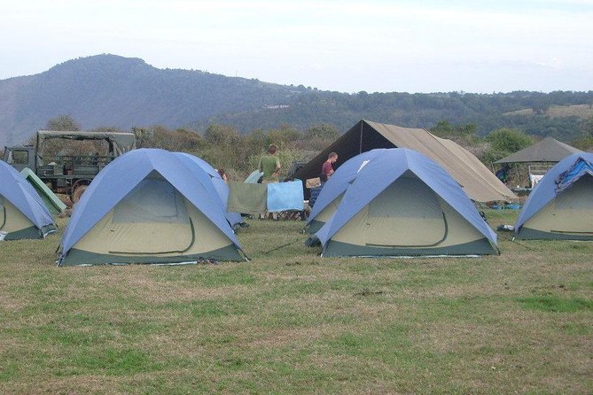 5 Days Tanzania Safari - Tarangire, Serengeti, Ngorongoro, and Lake Manyara - Ngorongoro Crater Adventure