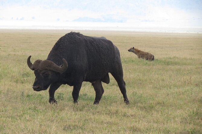 5 Days Tanzania Wildlife Safari Private Tour - Packing and Preparation