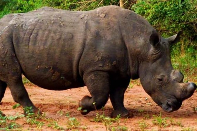 5 Days Tarangire, Serengeti, Ngorongoro & Manyara Budget Lodge Safari Tour - Excluded Aspects