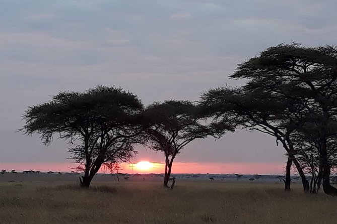 5 Days Tarangire, Serengeti, Ngorongoro & Manyara Mid-Range Camping Safari Tour - Included Amenities