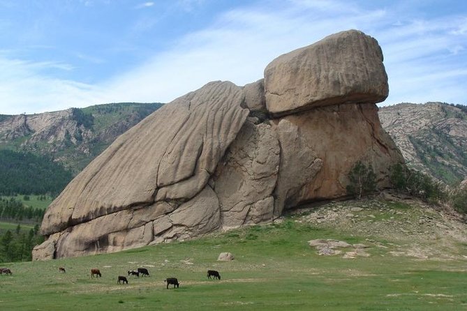 5 Days Terelj National Park Tour From Central Mongolia - Accessibility and Recommended Experiences
