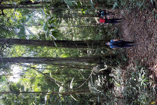5 DAYS Tour, Culture and Nature of the Amazon...Non-Mass & Sustainable Tour. - Pickup Requirements