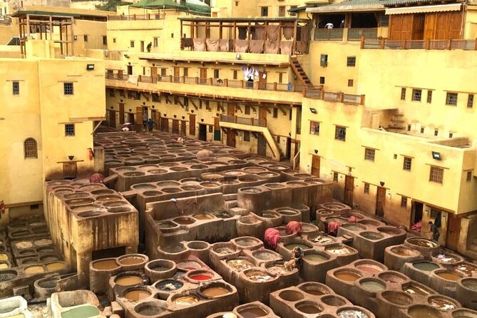 5 Days Tour From Casablanca to Fes via Chefchaouen - Reviews and Ratings