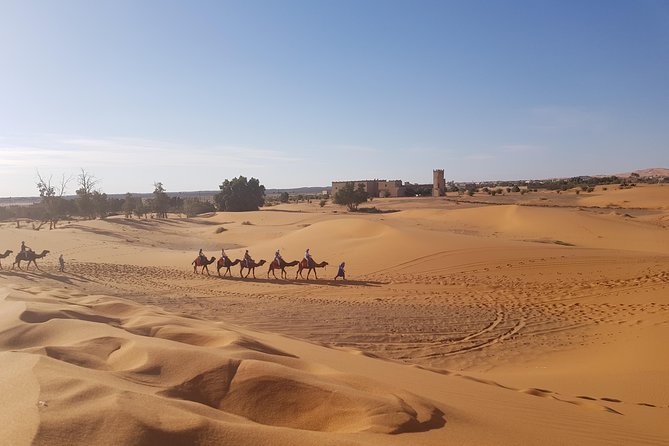 5 Days Tour From Fes - Highlights