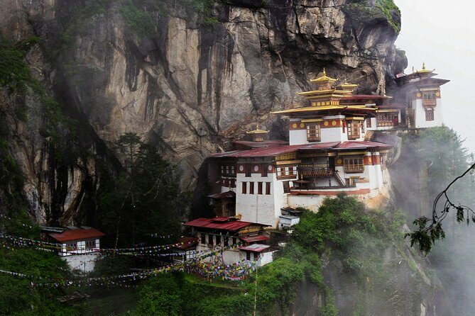 5 Days Tour in Bhutan - Transportation, Guides, and Value