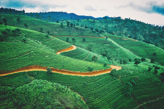 5 Days Tour In Sri Lanka - Accommodations