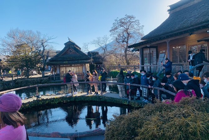 5 Days Tour Mt Fuji Tokyo Kyoto Osaka Nara by Car English Driver - Highlights of Nara Day