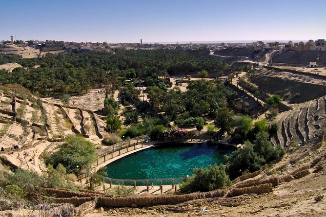 5 Days Tunisia Discovery Private Tour - Accommodation and Meals