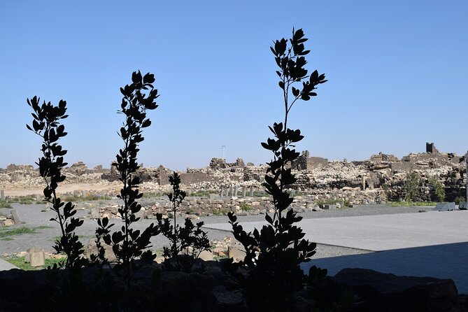 5-Desert Castles of Jordan Full-Day Private Tour From Amman - Pickup and Accessibility