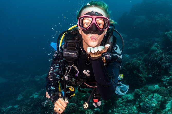 5 Fun Dives in Pemuteran (For Certified Divers) - Exploration in Menjangan Park - Pricing and Fees
