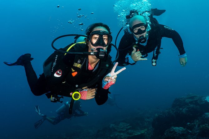 5 Fun Dives in Pemuteran (For Certified Divers) - Exploration in Menjangan Park - Meeting and Pickup Information